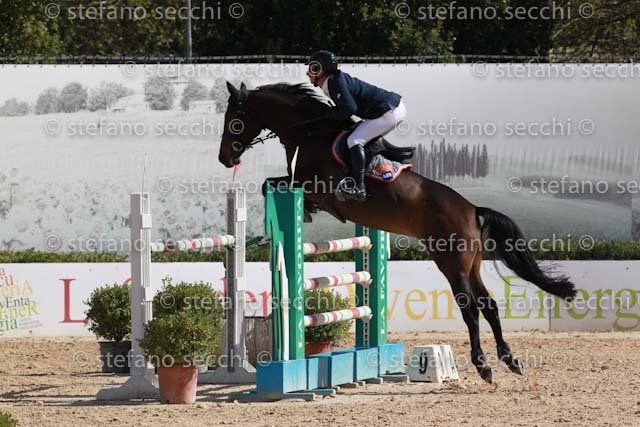 TAZZI_KAWA_GIO CAV 2011_(0701) SS3_2372.jpg